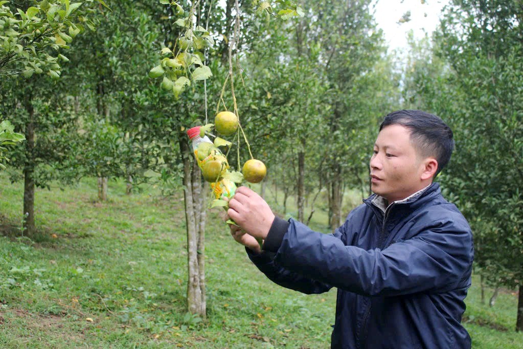 E.Ngheo 5.3
