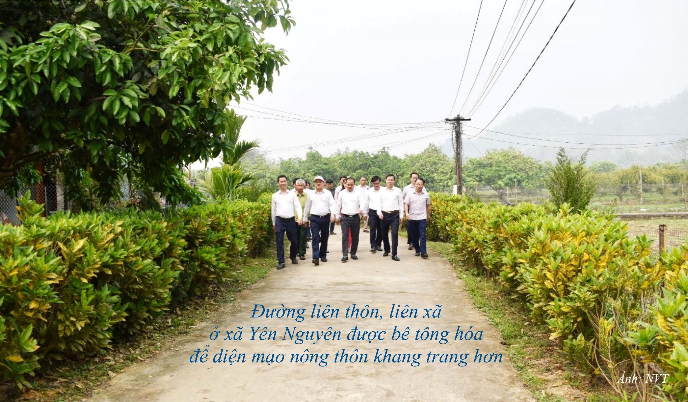 Anh NT 2.1