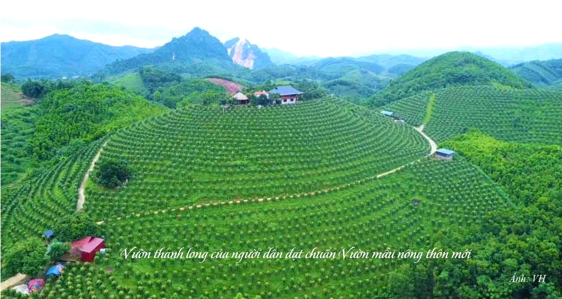 Anh NT 6.1
