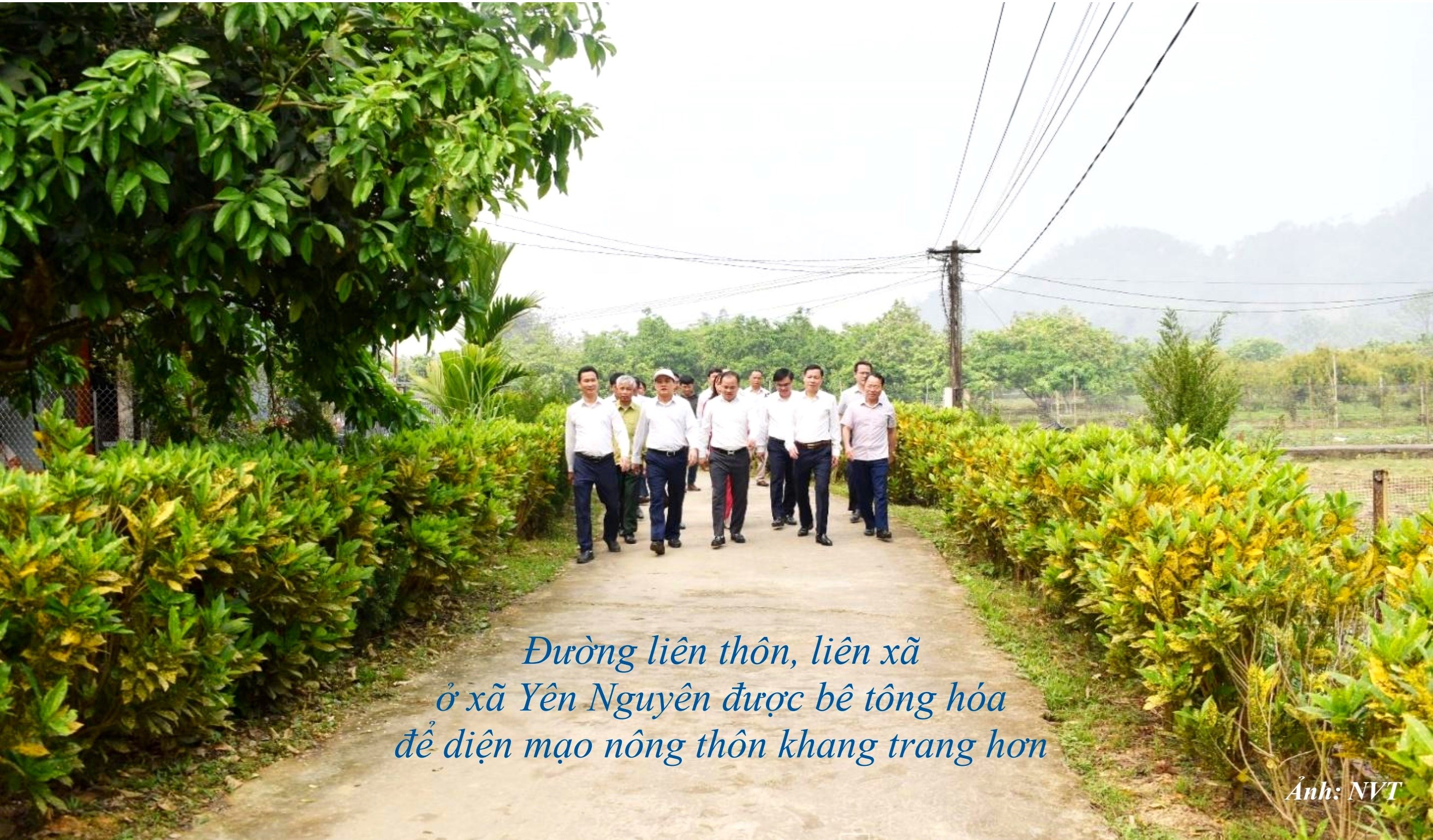 Anh NT 2.1