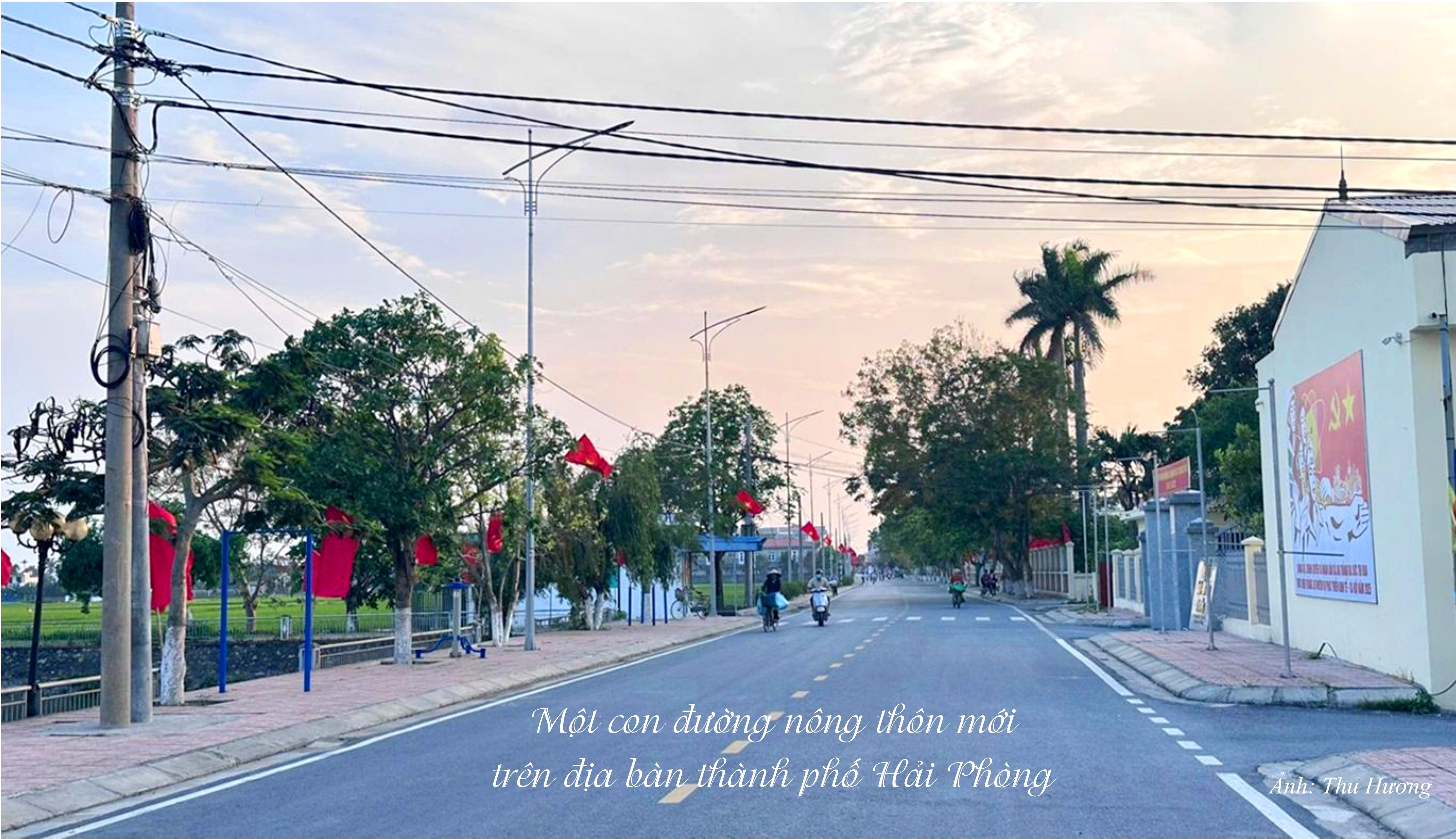 Anh NT 15