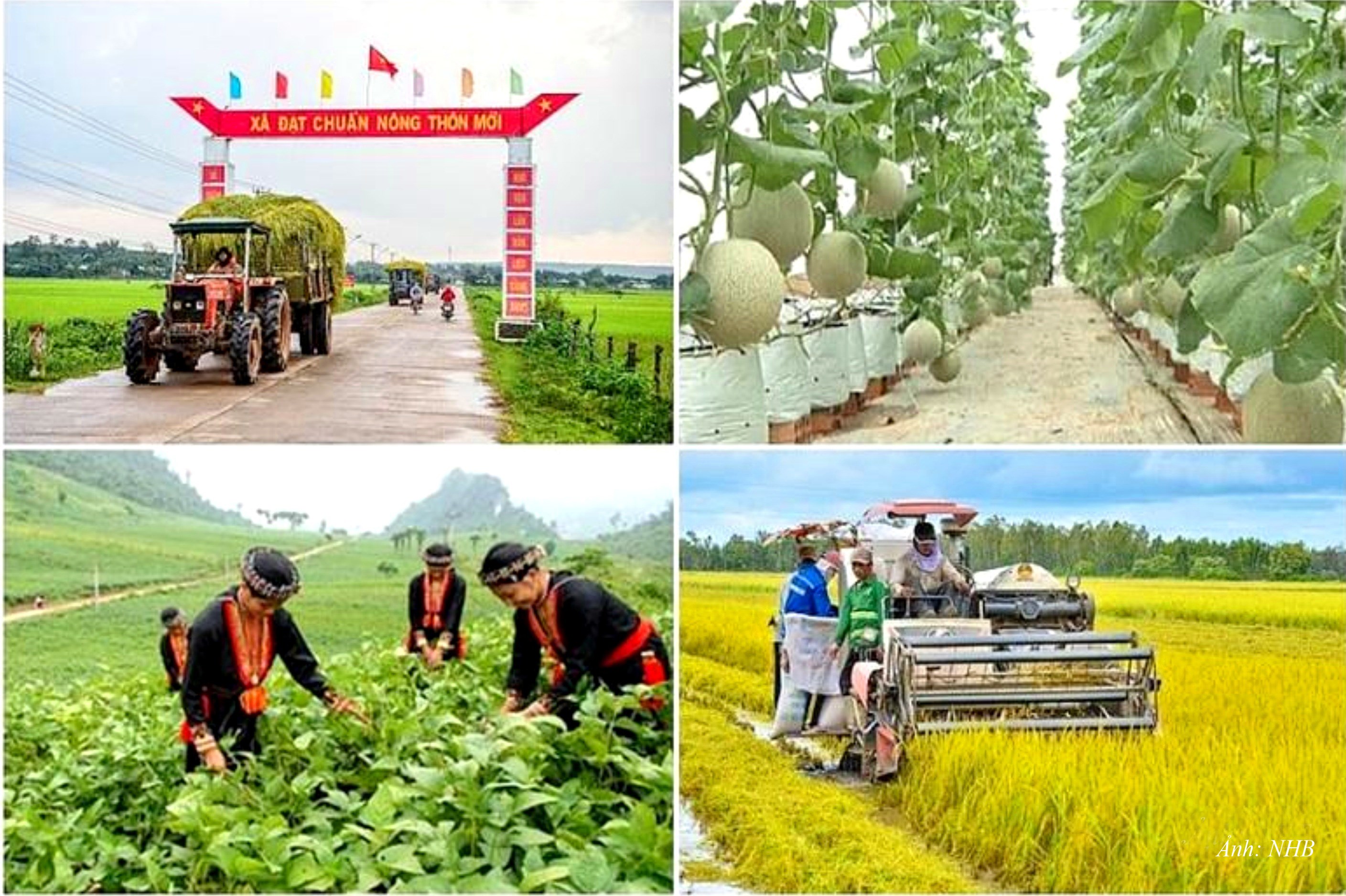 GN1. Phong trào “Cả nước chung tay vì người nghèo - không để ai bị bỏ lại phía sau” đạt được nhiều thành tựu đáng trân trọng
