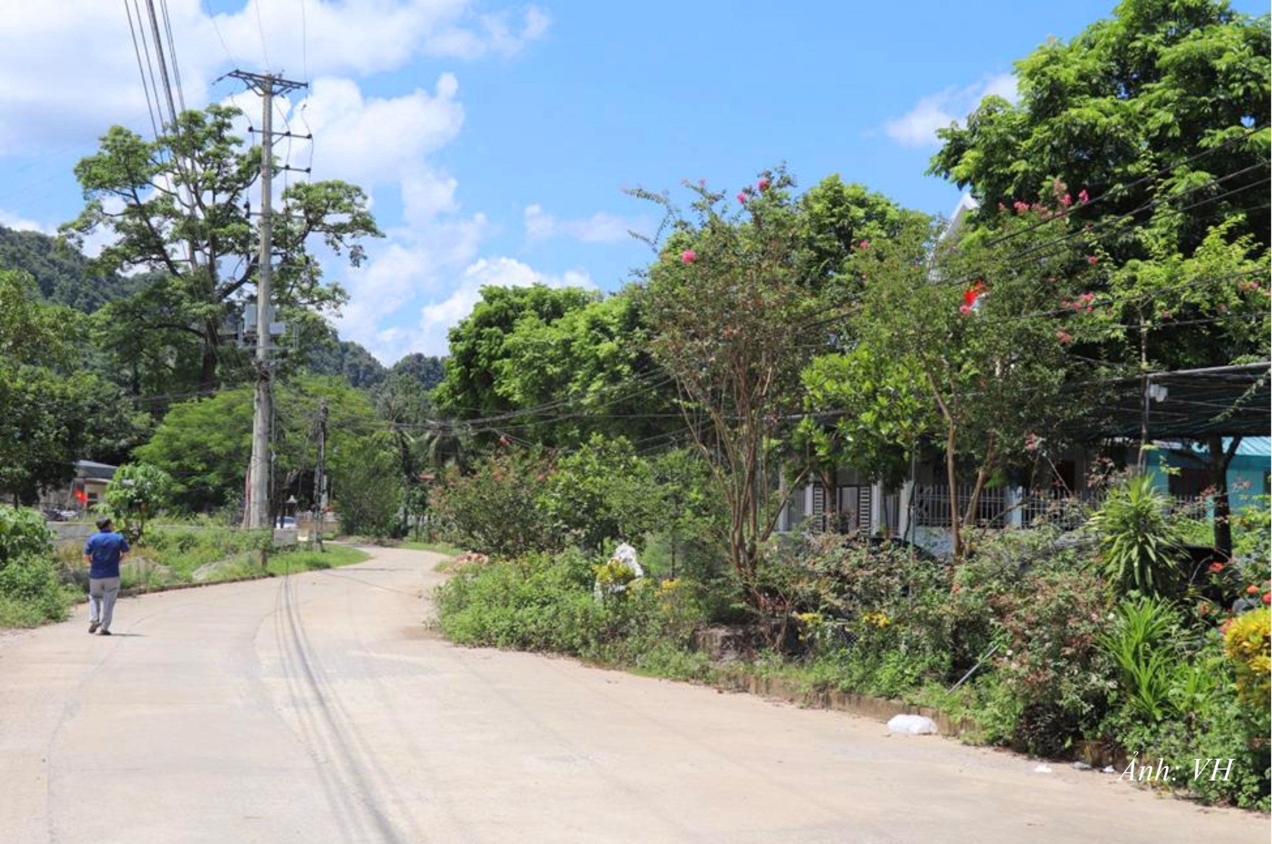 DT10. Đường thôn Trung Báo xanh, sạch, đẹp