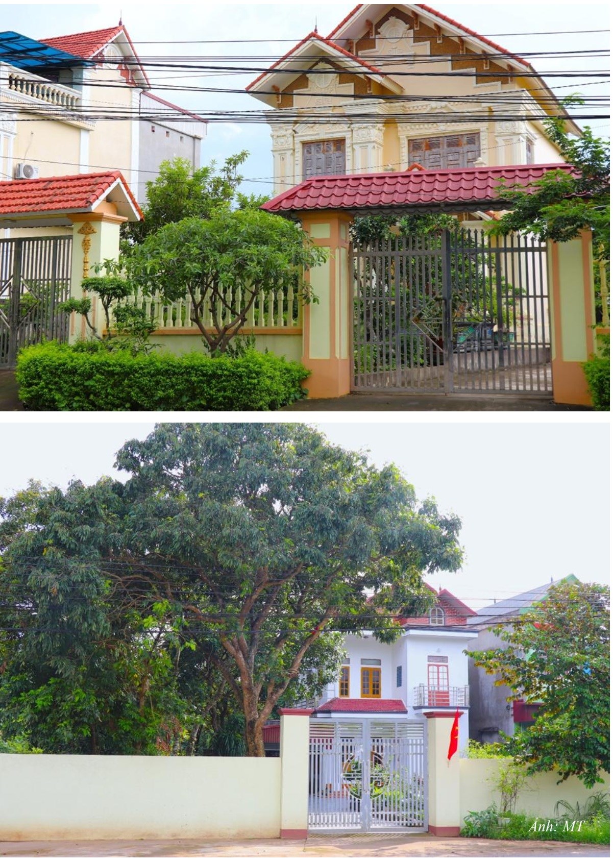 NT35. Những ngôi nhà hiện đại, khang trang
