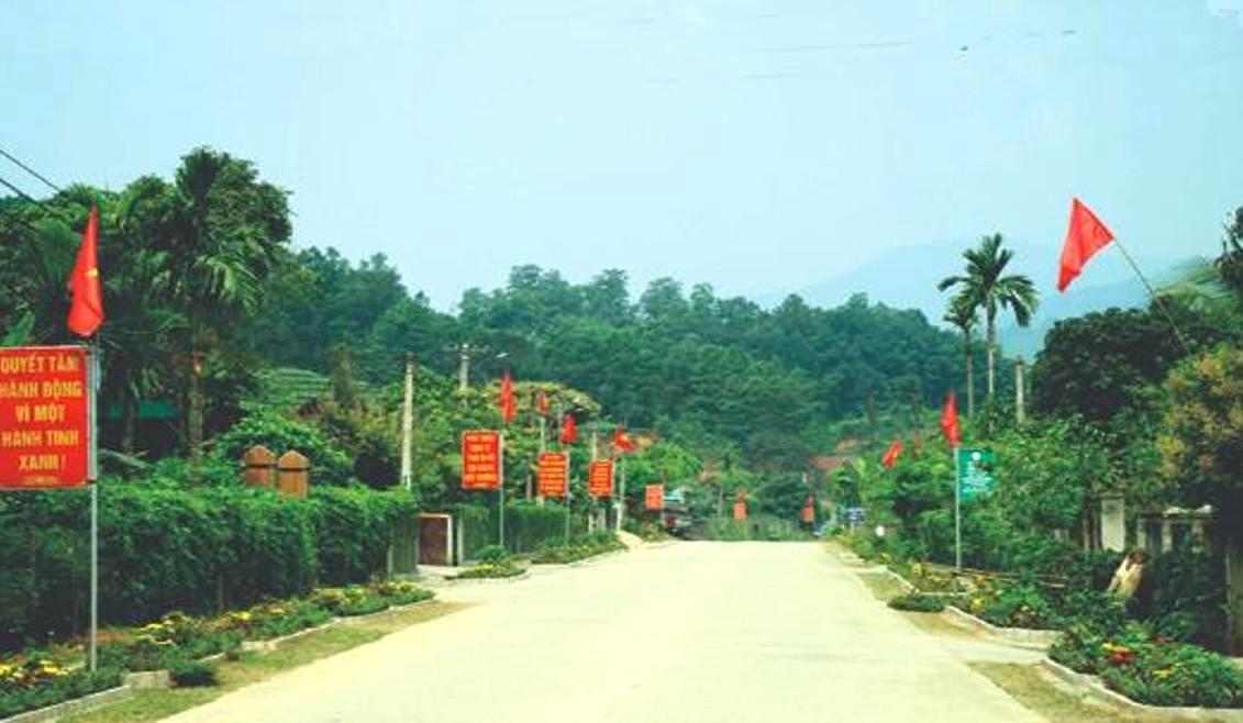 Tin GN 8