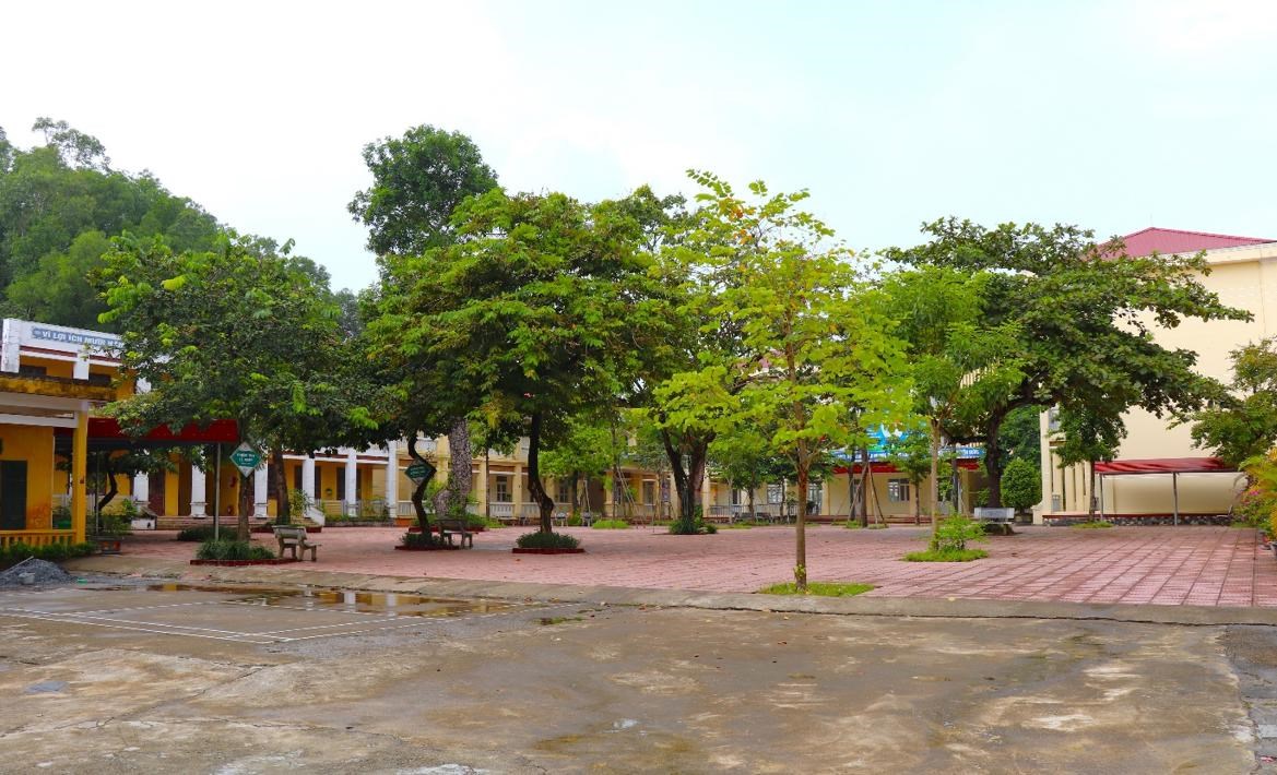 GN23. Sân trường THCS Liêm Cần nhiều cây xanh
