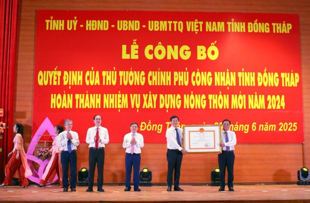 NT.Bai11