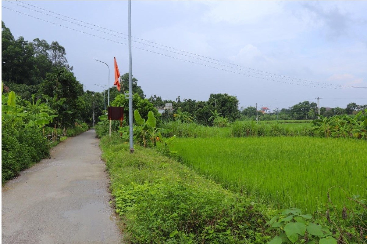 GN35. Đường thôn Ngũ Cối